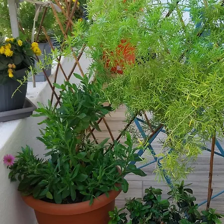 Cute Θεσσαλονίκη